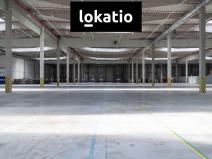 Pronájem skladu, Cerhovice, 14000 m2