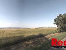Prodej zemědělské půdy, Křenovice, 38913 m2