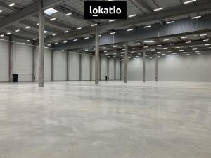 Pronájem skladu, Vejprnice, 7000 m2