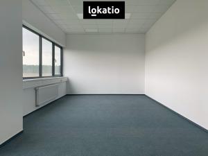 Pronájem skladu, Vejprnice, 7000 m2