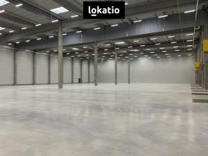 Pronájem skladu, Vejprnice, 7000 m2