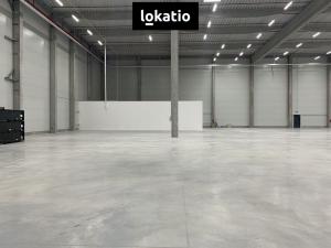 Pronájem skladu, Vejprnice, 7000 m2