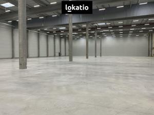 Pronájem skladu, Vejprnice, 7000 m2