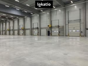 Pronájem skladu, Vejprnice, 7000 m2