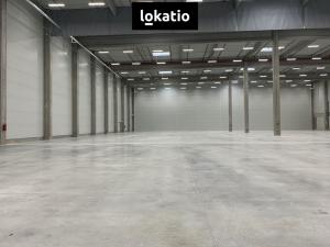 Pronájem skladu, Vejprnice, 7000 m2