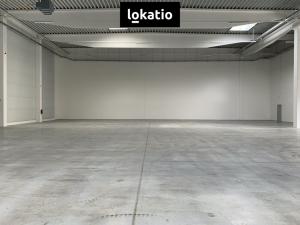 Pronájem skladu, Cheb, 5500 m2