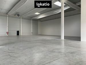 Pronájem skladu, Cheb, 5500 m2