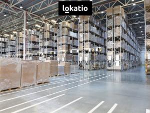 Pronájem skladu, Cheb, 5500 m2