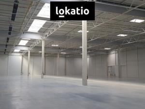 Pronájem skladu, Jirkov, 9000 m2