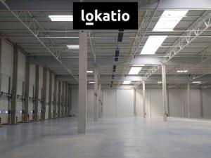 Pronájem skladu, Jirkov, 4300 m2