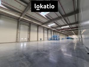 Pronájem skladu, Nošovice, 500 m2