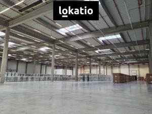 Pronájem skladu, Nošovice, 500 m2