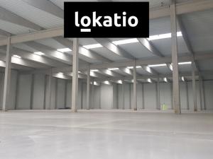 Pronájem skladu, České Budějovice, Okružní, 30300 m2