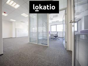 Pronájem skladu, České Budějovice, Okružní, 30300 m2