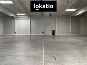 Pronájem skladu, Myslinka, 3000 m2