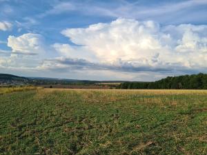 Prodej pozemku pro komerční výstavbu, Plzeň, Rokycanská, 22239 m2